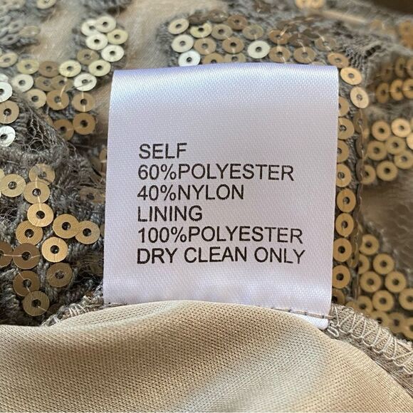 Tadashi Shoji Lace Gold Sequin Overlay Taupe Smoked Pearl Cocktail Dress Sz 2 - Picture 15 of 16